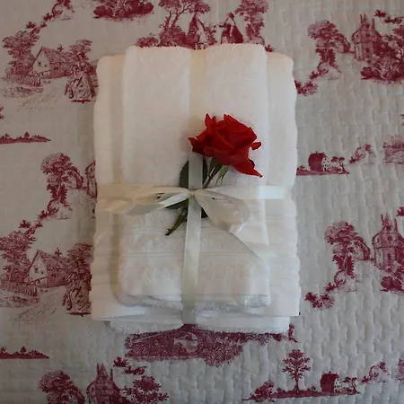 Casa Do Sobreira 维埃拉·多米尼奥